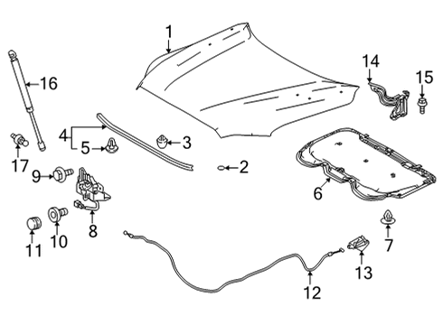 2025 Toyota Tundra Hood & Components Diagram