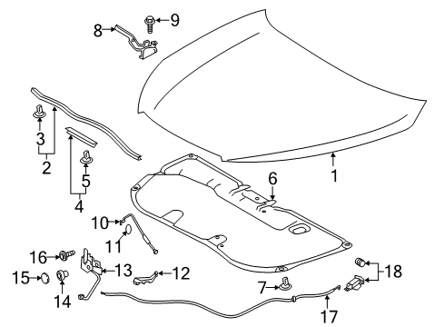 2017 Toyota Highlander Hood & Components Diagram