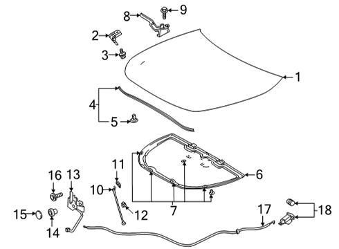2025 Toyota Highlander Hood & Components Diagram