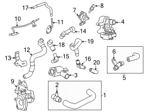 2025 Toyota 4Runner Hoses, Lines & Pipes Diagram