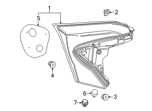 2021 Toyota C-HR Backup Lamps Diagram