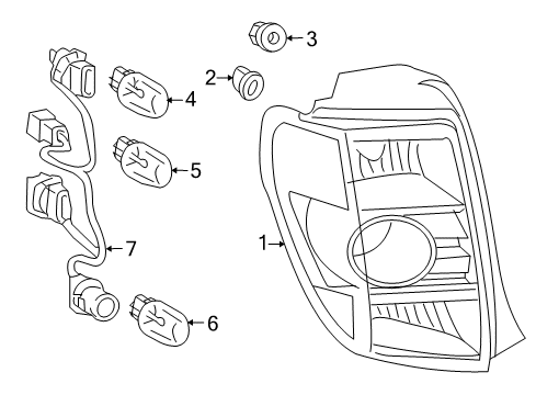 2013 Scion xD Bulbs Diagram