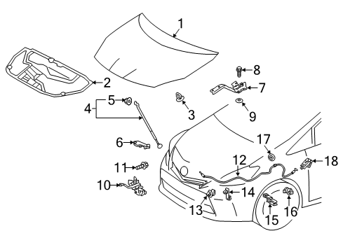 2016 Toyota Prius V Hood & Components Diagram