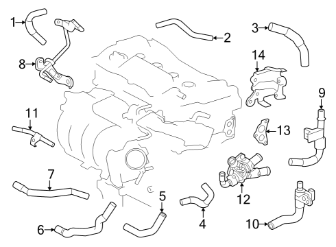 2024 Toyota Crown Hoses, Lines & Pipes Diagram