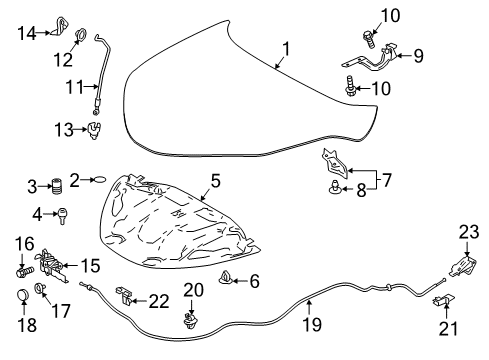 2022 Toyota C-HR Hood & Components Diagram