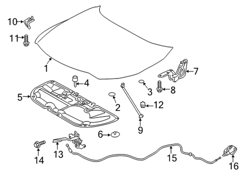 2024 Toyota Venza Hood & Components Diagram