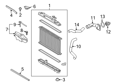 2012 Toyota Camry Radiator & Components Diagram 3 - Thumbnail