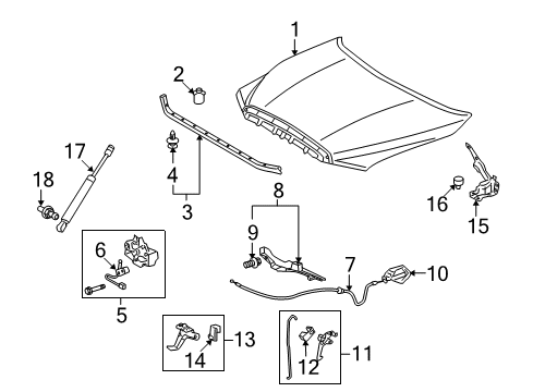 2018 Toyota Sequoia Hood & Components Diagram