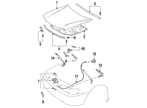 1995 Toyota Camry Hood & Components Diagram