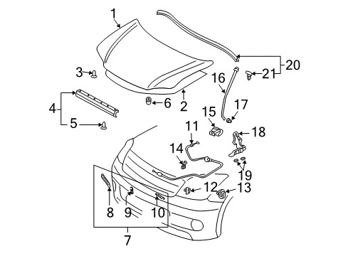 2004 Scion xA Hood & Components Diagram