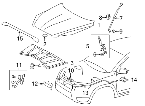 2010 Toyota RAV4 Exterior Trim - Hood Diagram