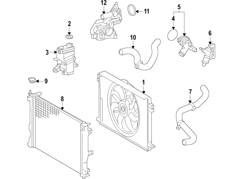 2024 Toyota Venza Cooling System Diagram