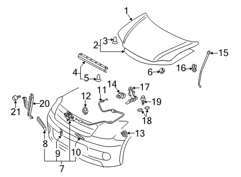 2007 Scion tC Hood & Components Diagram