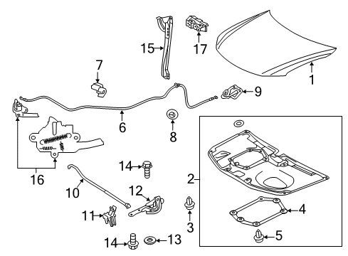 2015 Scion tC Hood & Components Diagram