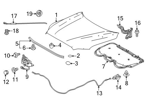 2025 Toyota Tacoma Hood & Components Diagram 2 - Thumbnail