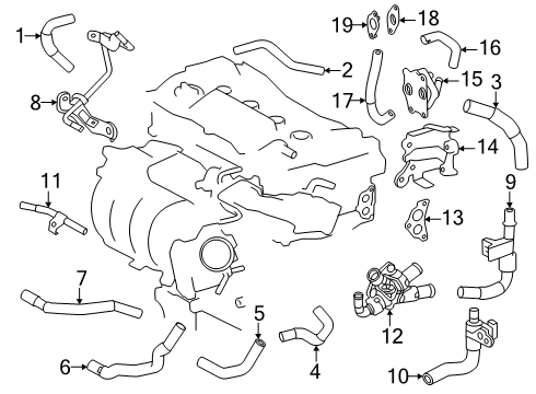 2025 Toyota Crown Signia Hoses, Lines & Pipes Diagram