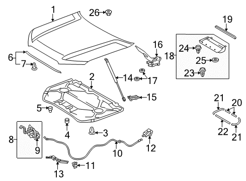 2024 Toyota 4Runner Hood & Components Diagram