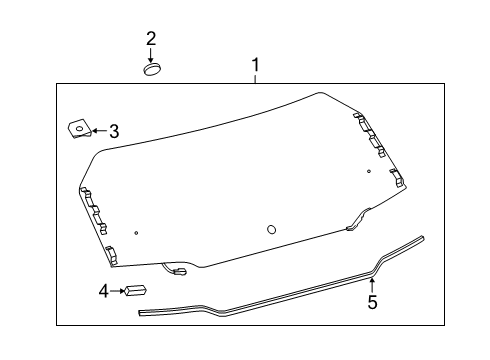2024 Toyota RAV4 Prime Glass - Lift Gate Diagram