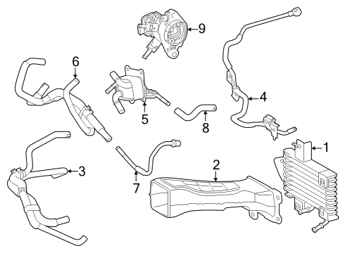 2025 Toyota Grand Highlander Trans Oil Cooler - Belts Diagram 3 - Thumbnail