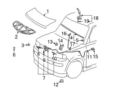 2005 Scion xB Hood & Components Diagram