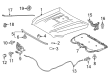 Toyota Tacoma Hood Diagram - 53301-AK020