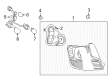Scion tC Tail Light Diagram - 81551-21330