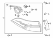 Toyota Corolla Back Up Light Diagram - 81560-02C10