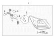Toyota Avalon Light Socket Diagram - 81555-07060