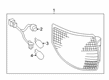 Toyota Sienna Light Socket Diagram - 81565-AE020