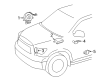Toyota Tacoma Clock Spring Diagram - 84308-AK010