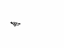 Toyota 85868-AC010 Fan Bracket, Front
