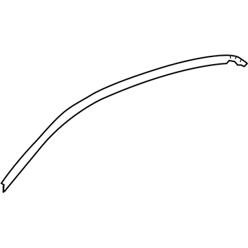 Toyota 75921-74010 Black Out Tape, Passenger Side