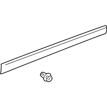 Toyota Echo Door Moldings - 75736-52020