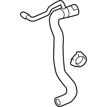 Scion 16571-36070 Lower Hose