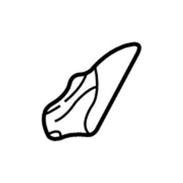 Toyota 71875-AA020-E0 Hinge Cover