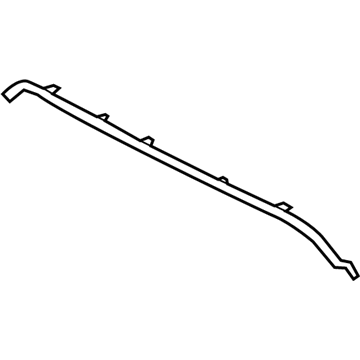 Scion 53141-WB002 Chrome Strip
