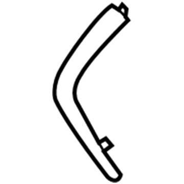Scion 53123-WB001 Chrome Strip