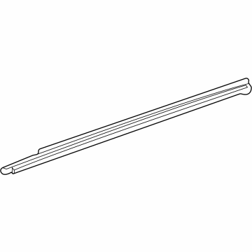 Toyota Mirai Door Seal - 68171-62010