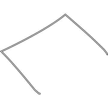 Scion 75573-WB003 Reveal Molding