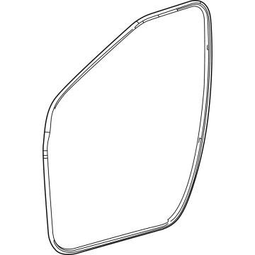 Toyota Mirai Door Seal - 62311-62010