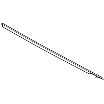 Toyota 75710-WB002 Belt Molding, Passenger Side