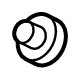 Toyota 90118-WA806 Turbocharger Nut