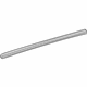 Toyota 68171-74010 Belt Weatherstrip, Inner Passenger Side