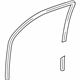 Toyota 68141-48020 Run Channel, Passenger Side