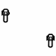 Toyota 90080-11348 Fender Bolt, Lower