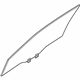 Toyota 68101-WB001 Door Glass, Passenger Side