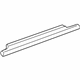 Toyota 75730-01041 Belt Molding, Passenger Side