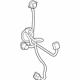 Toyota 81555-52A81 Socket & Wire, Rear