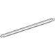 Toyota 75710-12A00 Belt Molding, Passenger Side