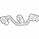Toyota 81675-AE020 Socket & Wire